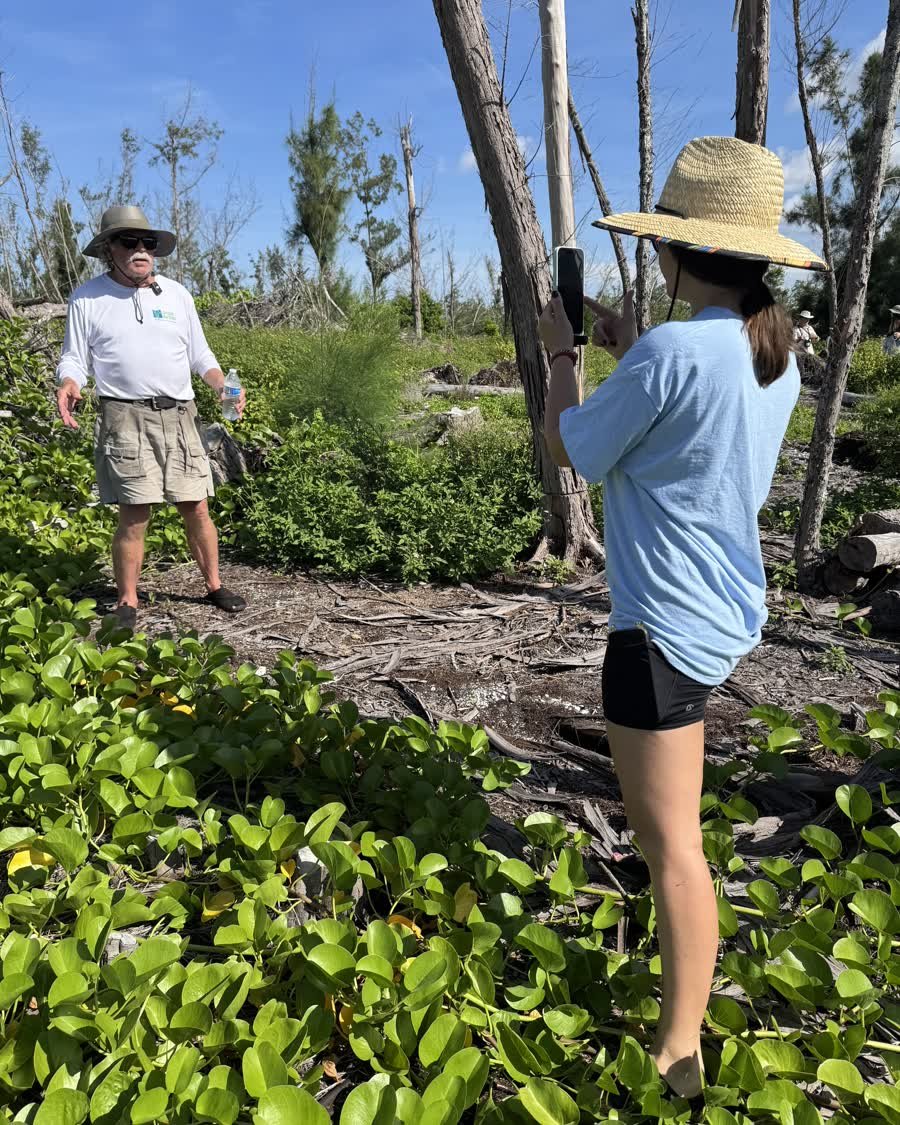 Siesta Media filming a Sarasota Bay Watch volunteer in the mangroves
